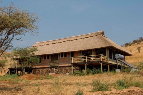 serengeti hébergement
