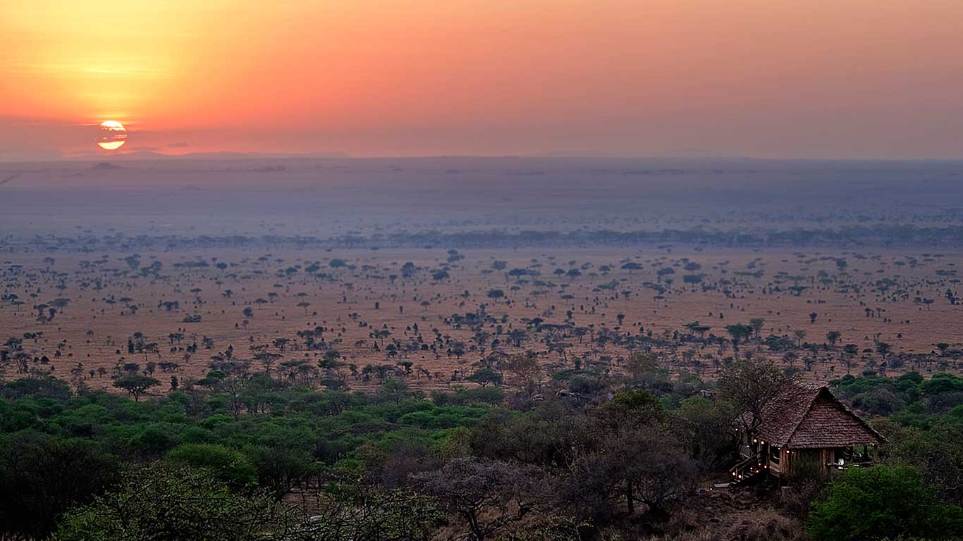 safari serengeti