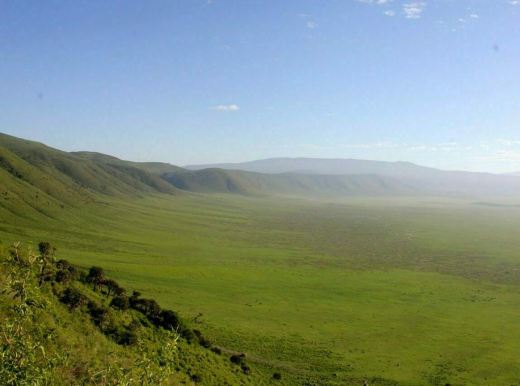 Safari Cratère Ngorongoro