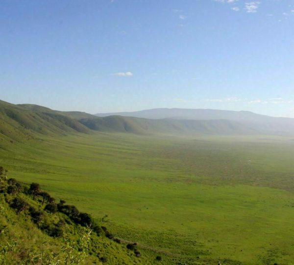 Safari Cratère Ngorongoro