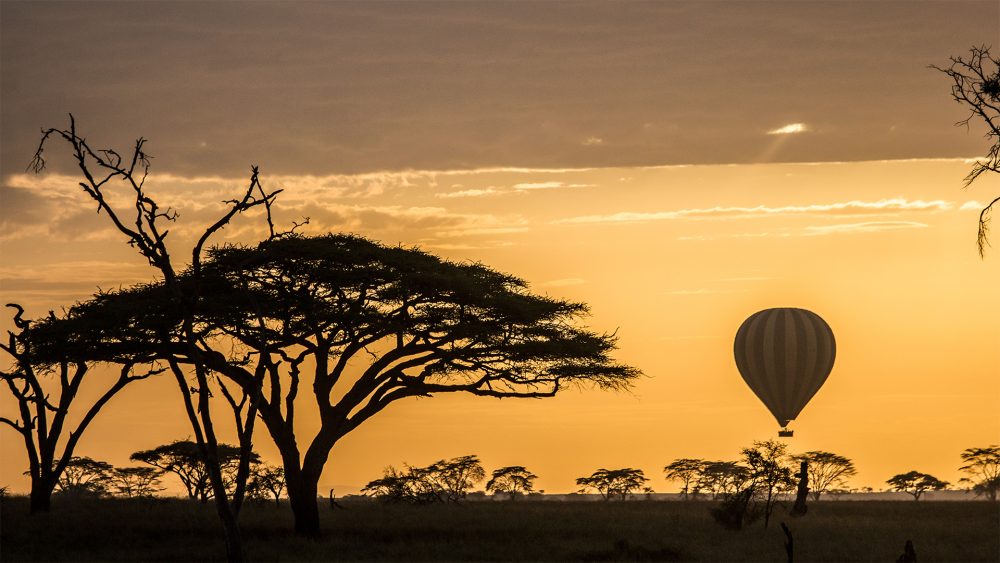 Le Parc National du Serengeti, 1ère attraction de Tanzanie