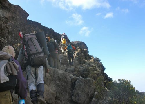 Trekking groupé Kilimandjaro par la voie Machame