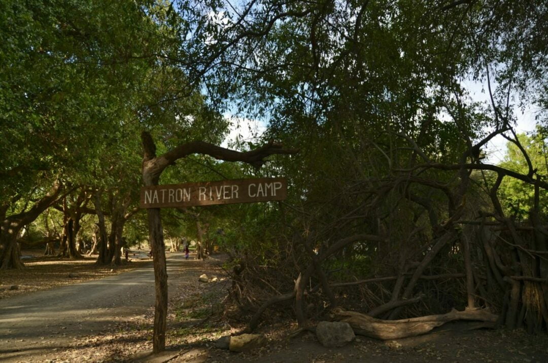 Camp Natron