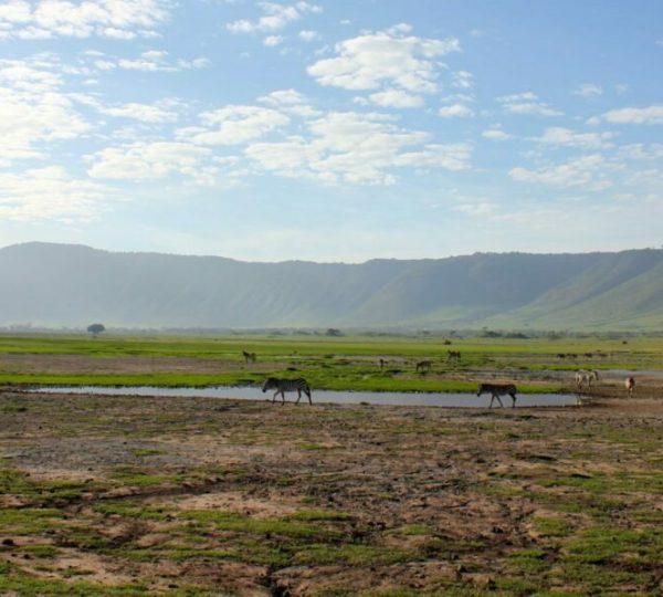 Cratère Du Ngorongoro