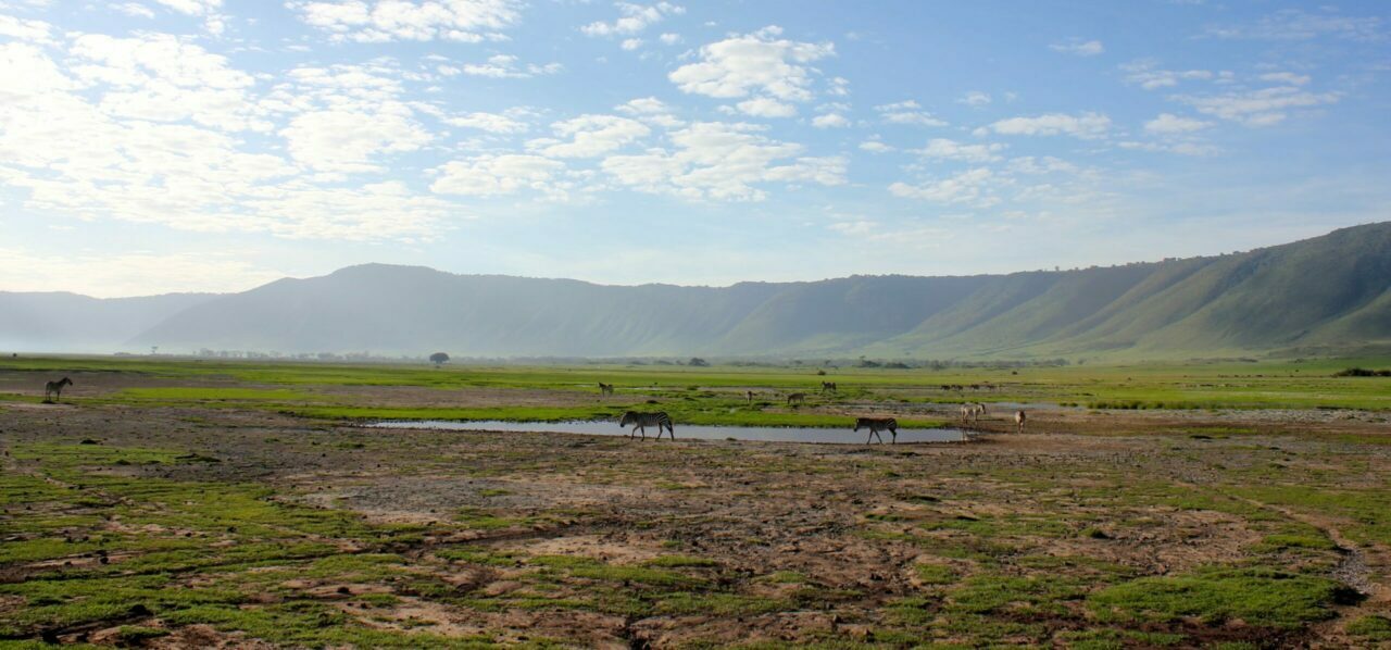 Cratère Du Ngorongoro