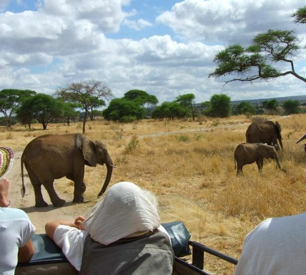 Safari Groupé Tarangire Tanzanie