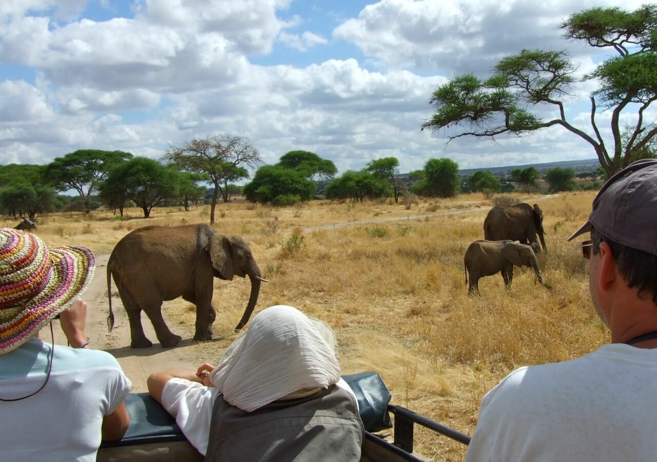 Safari Groupé Tarangire Tanzanie