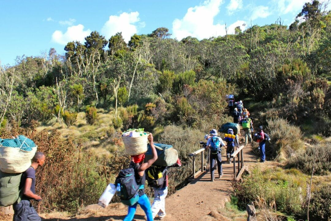 Trek Kilimandjaro