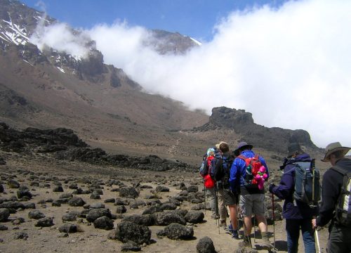 Ascension du Kilimandjaro par la voie Marangu