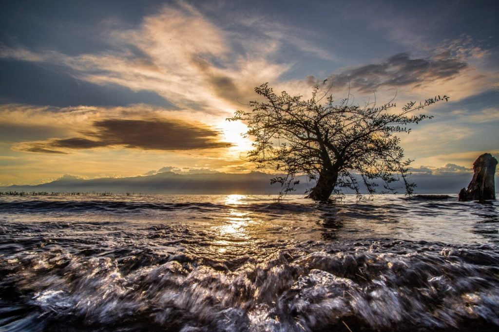 Lac Tanganyika