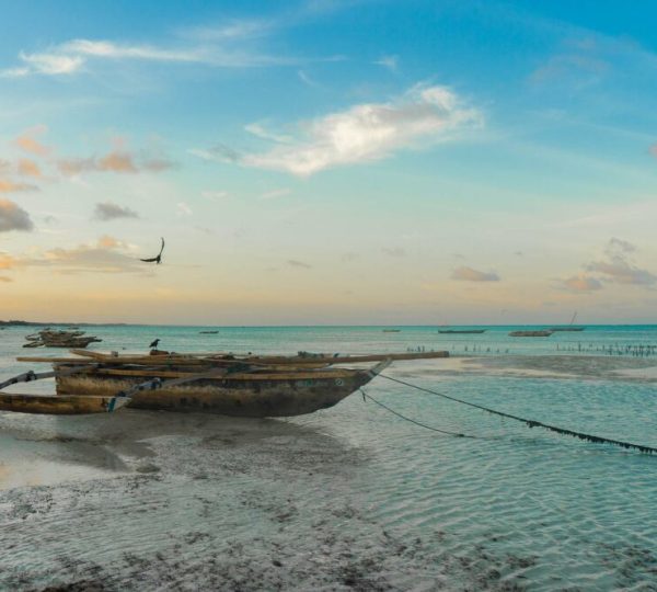Voyage Zanzibar Pemba