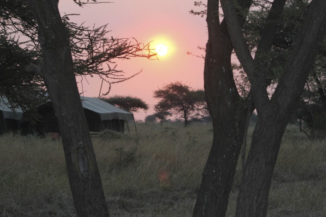 Wildlands Serengeti Camp