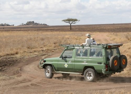 Quand partir en Tanzanie pour visiter le Serengeti ?