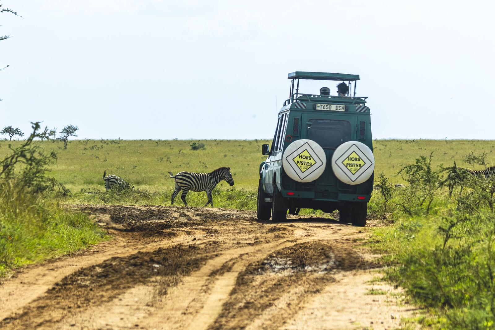 Tanzanie