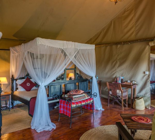 Ngorongoro Forest Tented Lodge chambre familiale