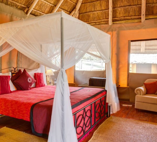 Ngorongoro Forest Tented Lodge chambre familiale