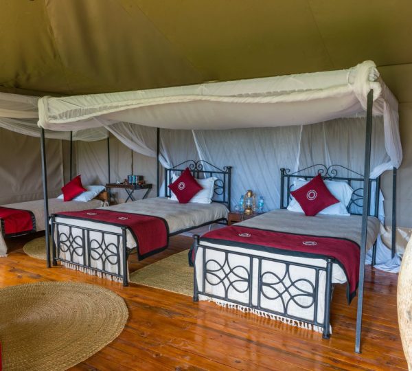 Ngorongoro Forest Tented Lodge chambre triple