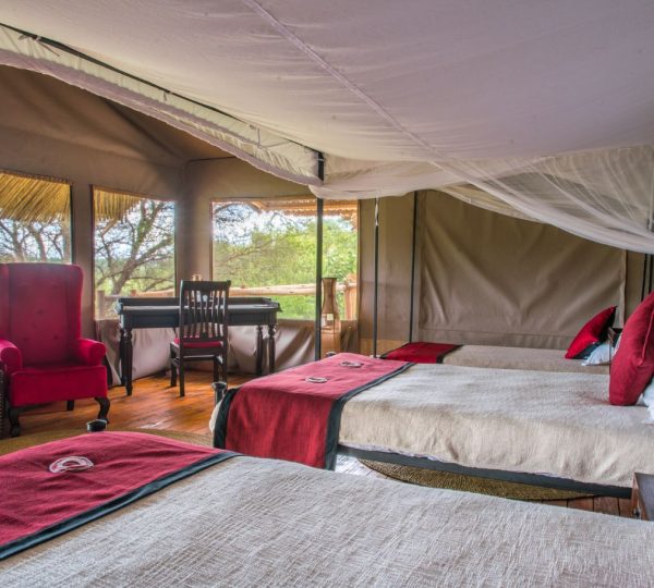 Ngorongoro Forest Tented Lodge chambre triple