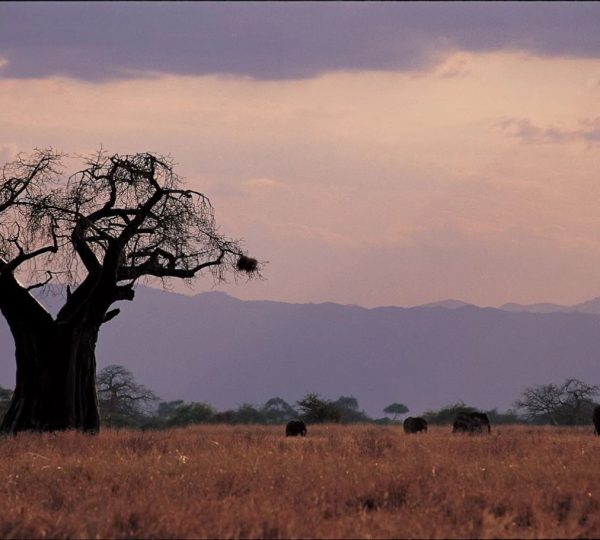 Au plus proche de la nature