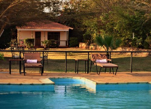 Eileen’s Trees Inn