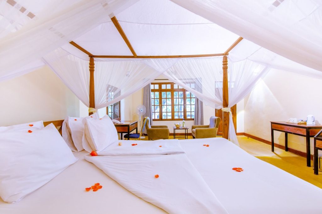 Eileen’s Trees Inn chambre