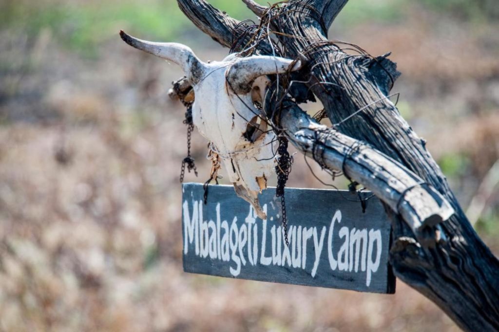 Emplacement Mbalageti Camp Serengeti