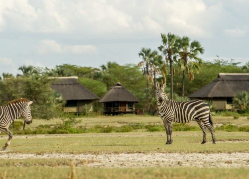 Maramboi Tented Lodge Tarangire
