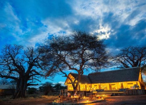 Ndhovu Safari Lodge