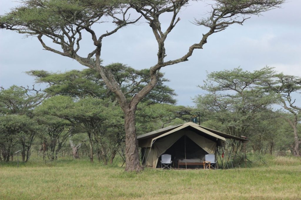 Tanzanie Wildland Camp