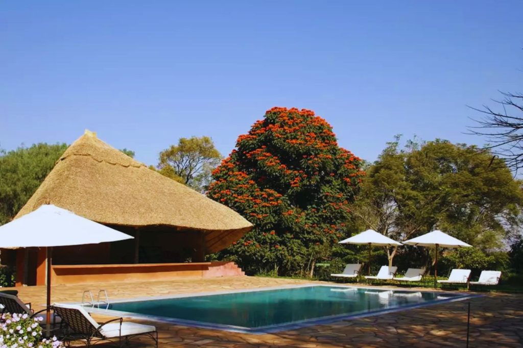 Piscine Ngorongoro Farm House