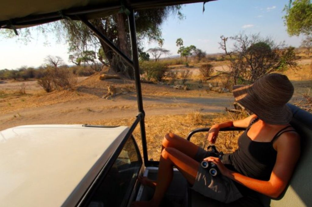 Safari Ruaha Hilltop Lodge
