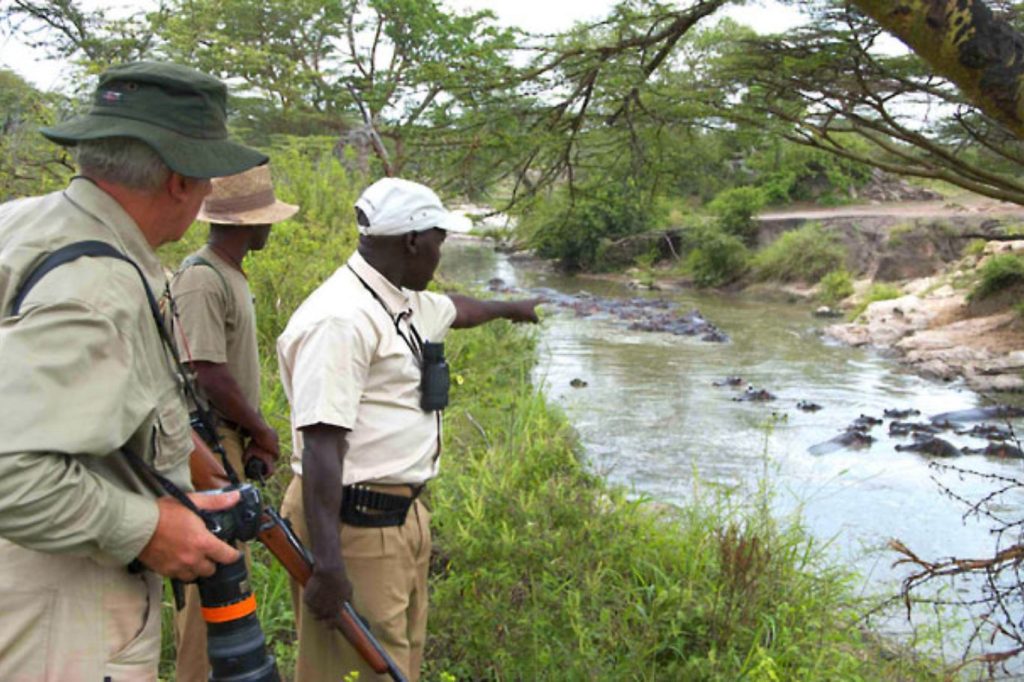 Safari Serengeti Migration Camp