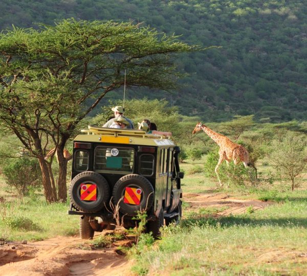 Safari Tanzanie Selous Kinga Lodge