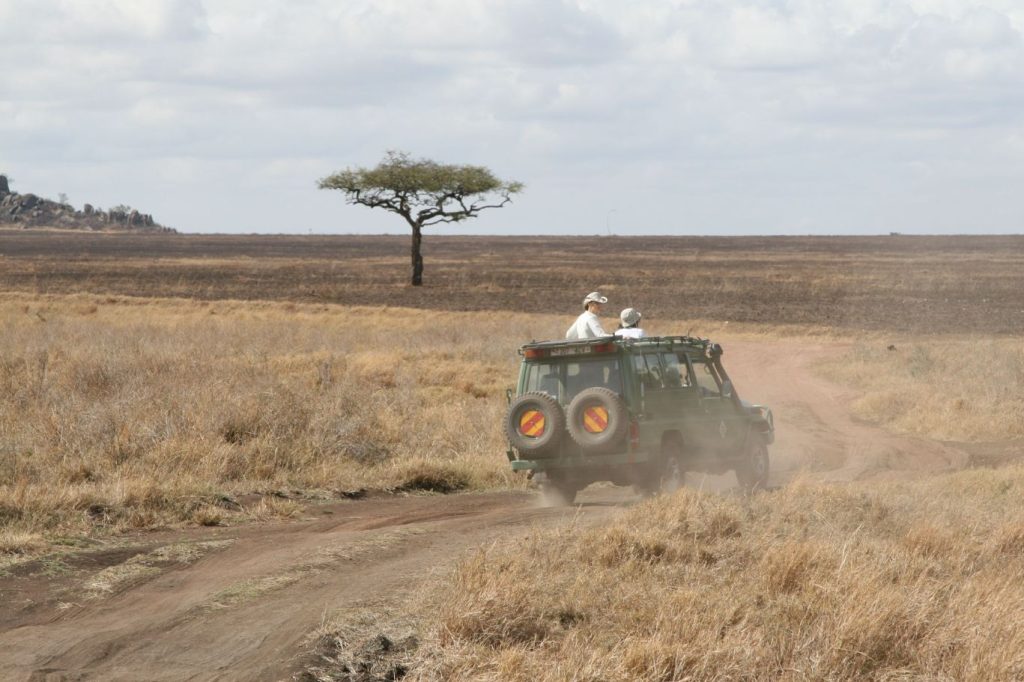 Safari Tarangire