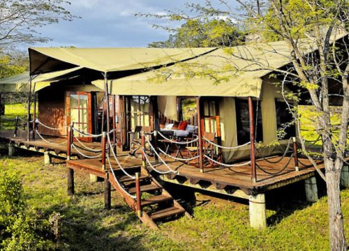 Serengeti Migration Camp