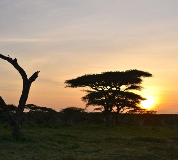 Au cœur de la nature