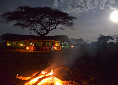 Wildlands Mobile Camp Tanzanie