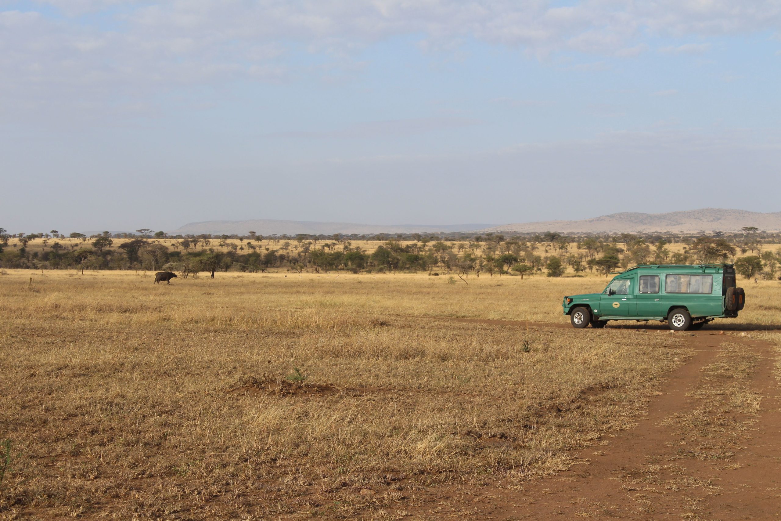 safari 4×4 Safari 4x4 Tanzanie