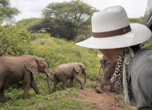 Comment s’habiller pour un safari en Tanzanie ?