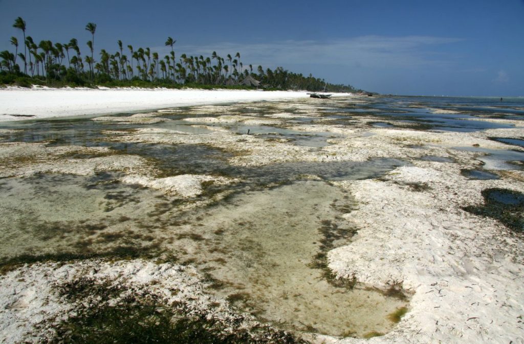 Matemwe Beach à Zanzibar