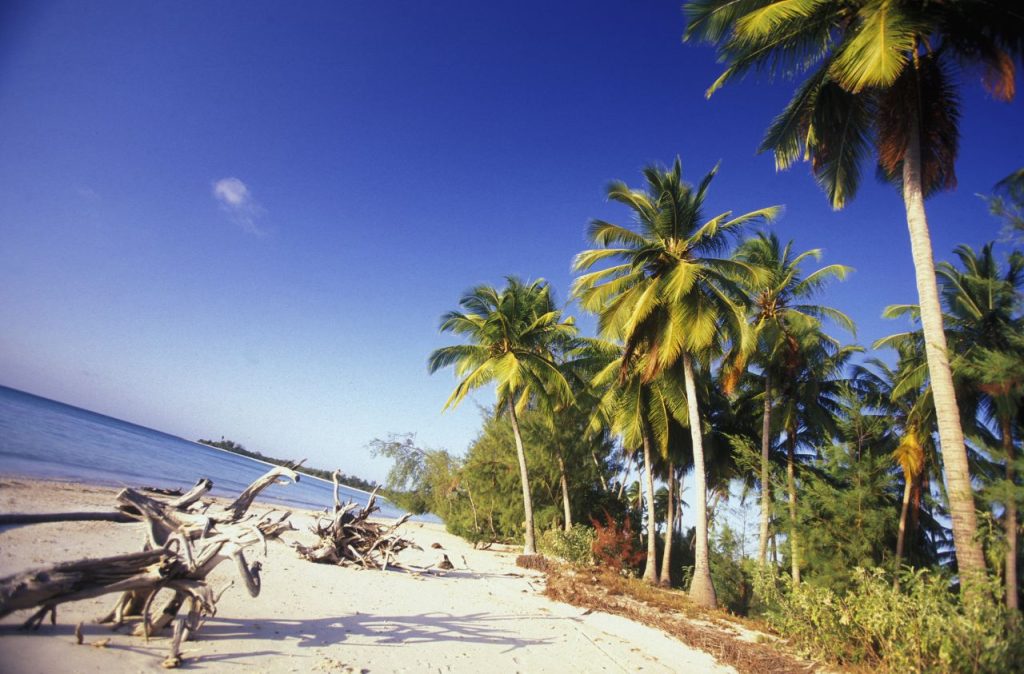 Michamvi Beach à Zanzibar