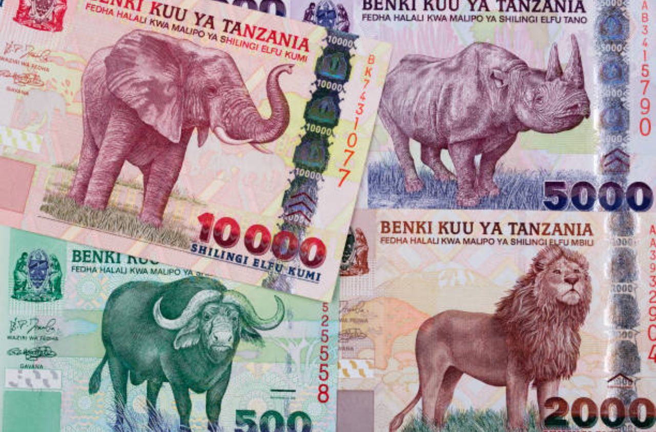 Monnaie Zanzibar