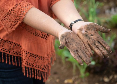Hors Pistes, agence responsable
