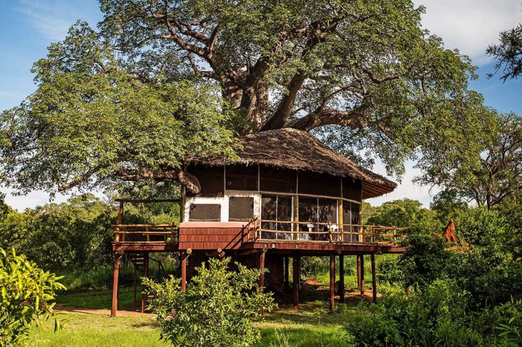 hébergement dans les arbres Tarangire Treetops Tanzanie