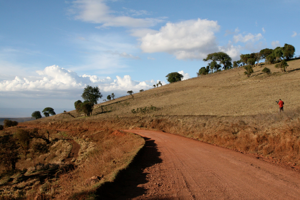 Serengeti saison sèche