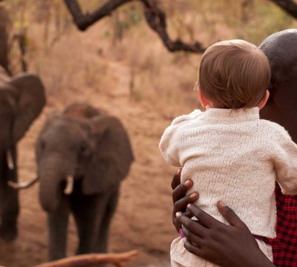 réserve privée Tarangire Treetops Tanzanie
