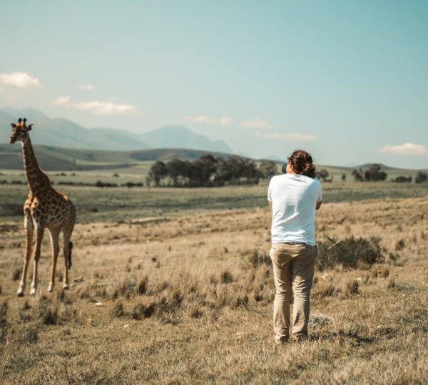 Safari Photo en Tanzanie