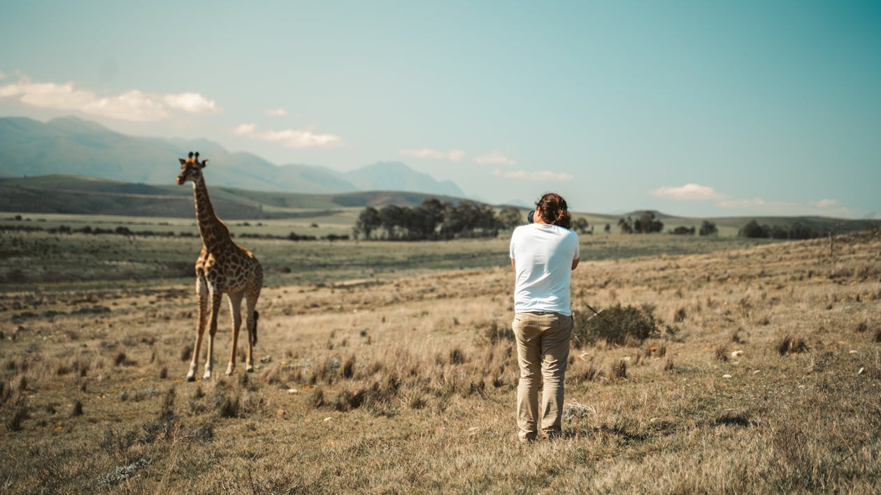 Safari Photo en Tanzanie