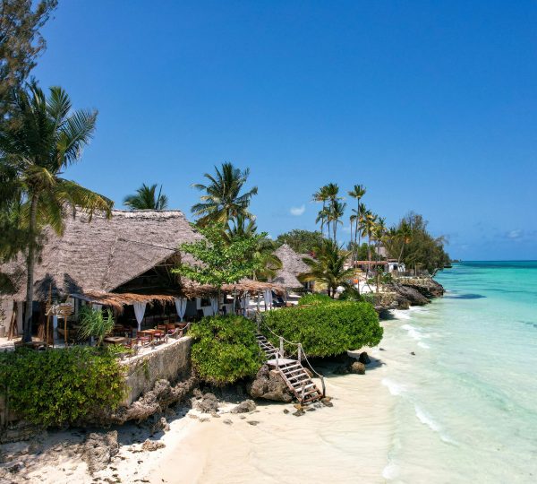 Vaccins à faire pour un voyage à Zanzibar