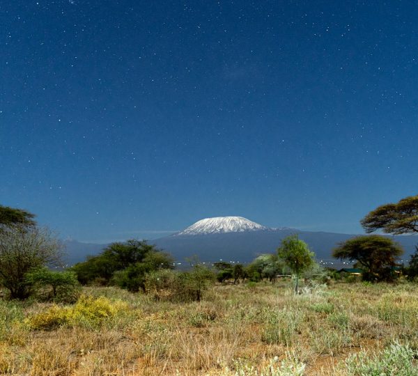 Kilimanjaro